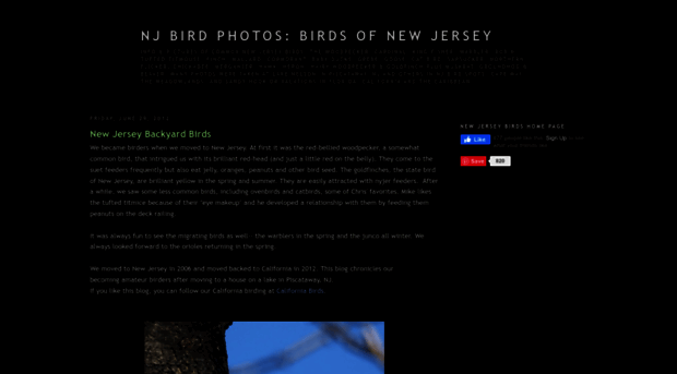 new-jersey-birds.com