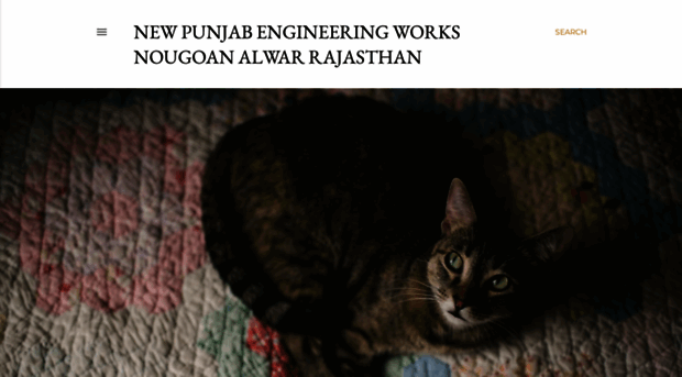 new-punjab-engineering-works.blogspot.com