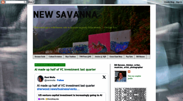 new-savanna.blogspot.com