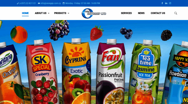 new-sevegep.com.cy