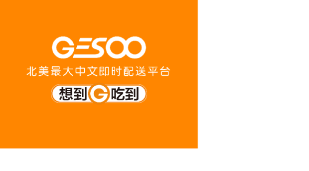new.gesoo.com