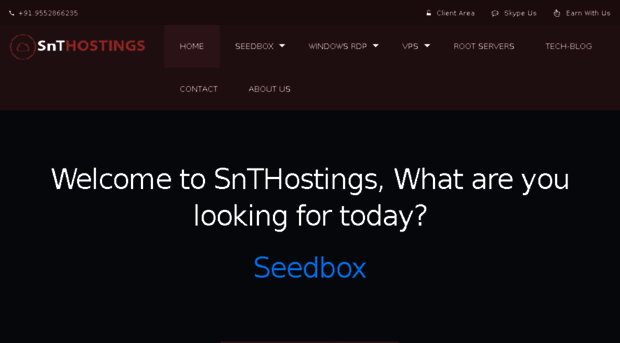 new.snthostings.com