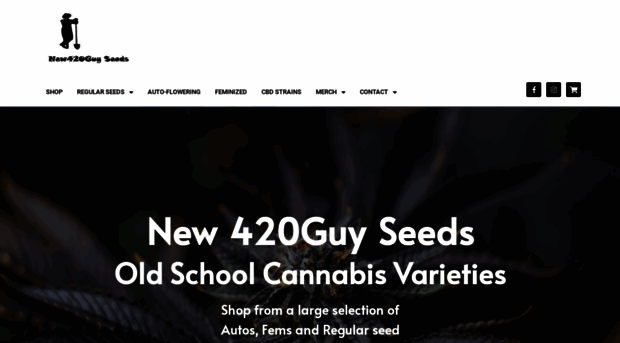 new420guyseeds.net