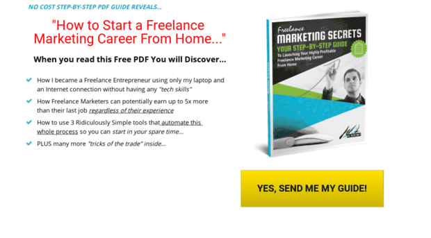 newagefreelancedigitalpdf.net