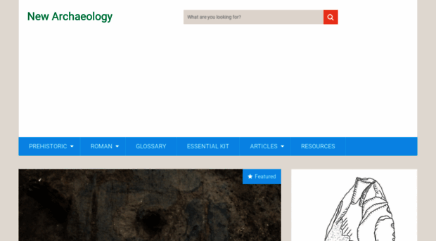 newarchaeology.com