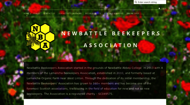 newbattlebees.org