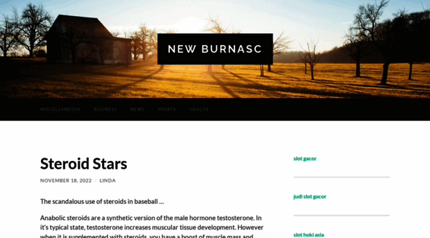 newburnasc.co.uk