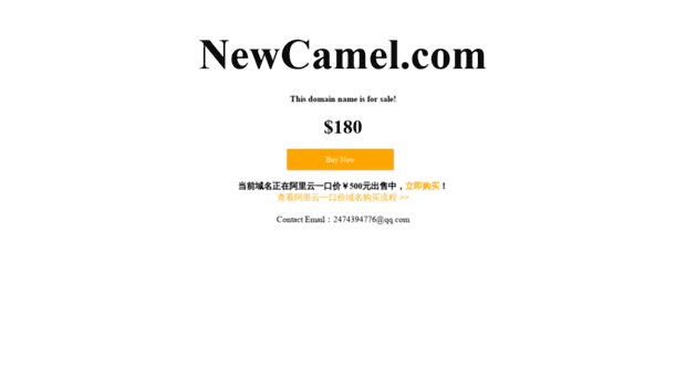 newcamel.com