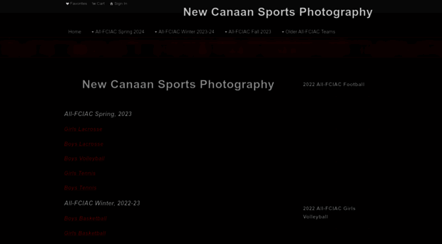 newcanaansports.com