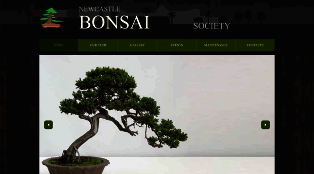 newcastlebonsai.org.au