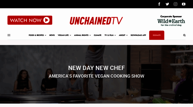 newdaynewchef.com