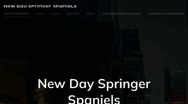 newdayspringers.com