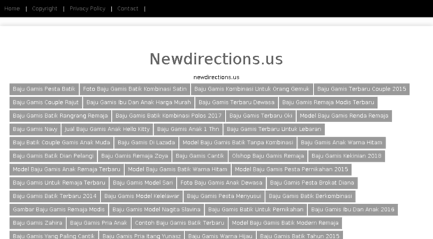 newdirections.us