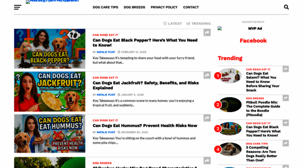 newdogtips.com