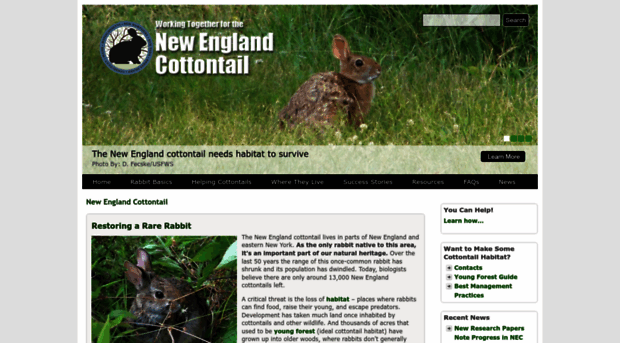 newenglandcottontail.org