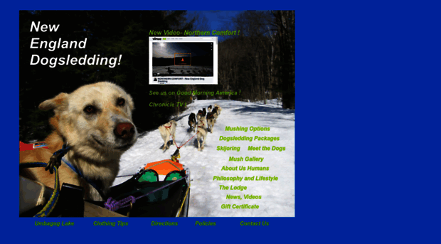 newenglanddogsledding.com