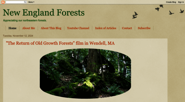 newenglandforests.blogspot.com