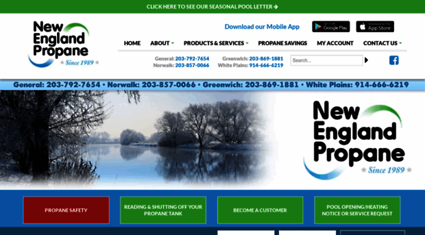 newenglandpropane.com