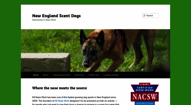 newenglandscentdogs.com