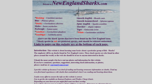 newenglandsharks.com