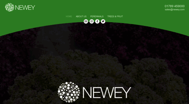 neweyyoungplants.com