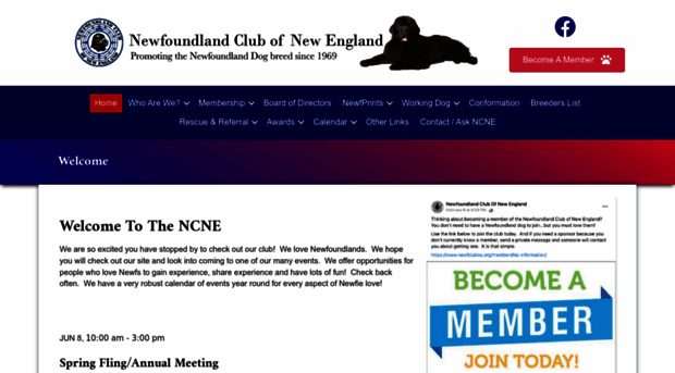 newfclubne.org