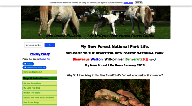 newforest-life.com