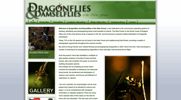 newforestdragonflies.com