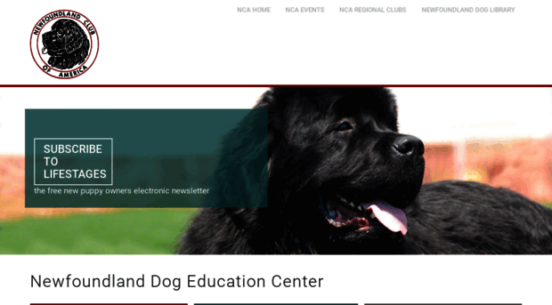 newfoundlandpuppy.org