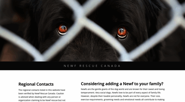 newfrescue.ca