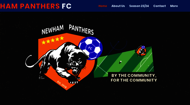 newhampanthersfc.com