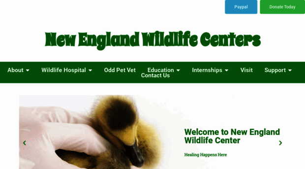 newildlife.org