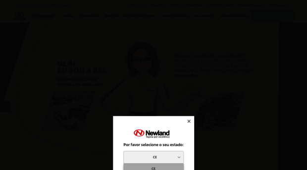 newland.com.br