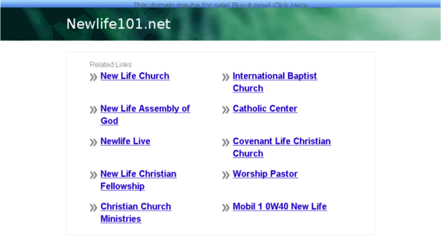 newlife101.net