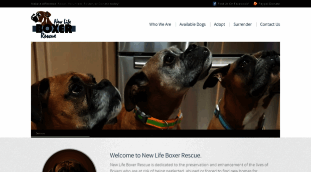 newlifeboxerrescue.com