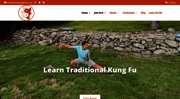 newlifekungfu.com