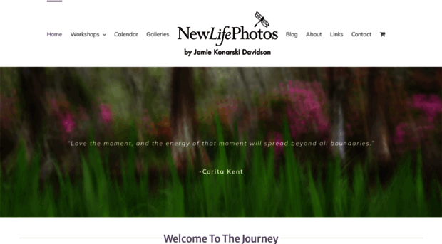 newlifephotos.com