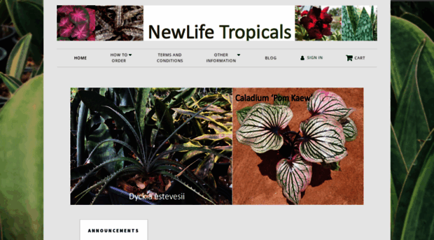 newlifetropicals.com