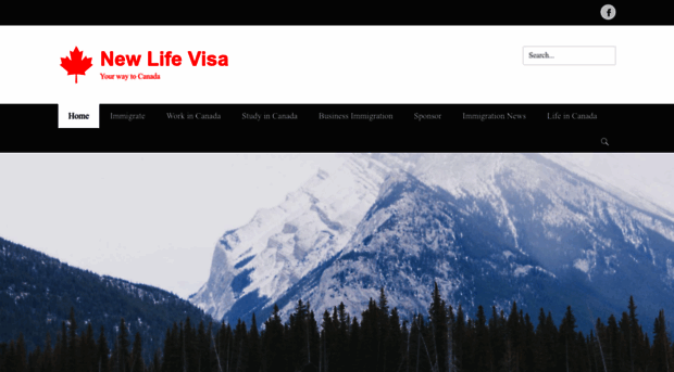 newlifevisa.com