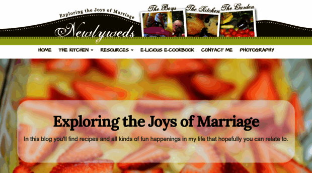 newlyweds-blog.com
