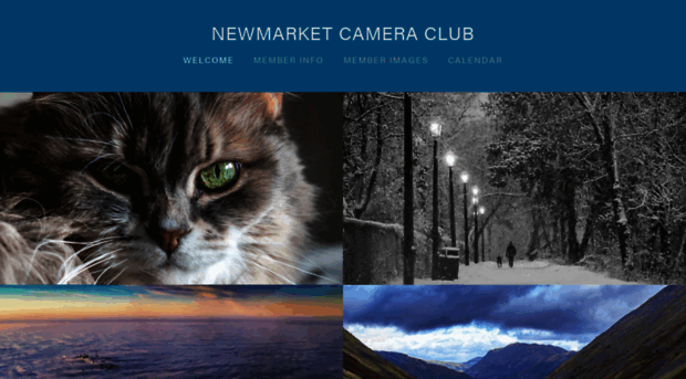 newmarketcameraclub.ca