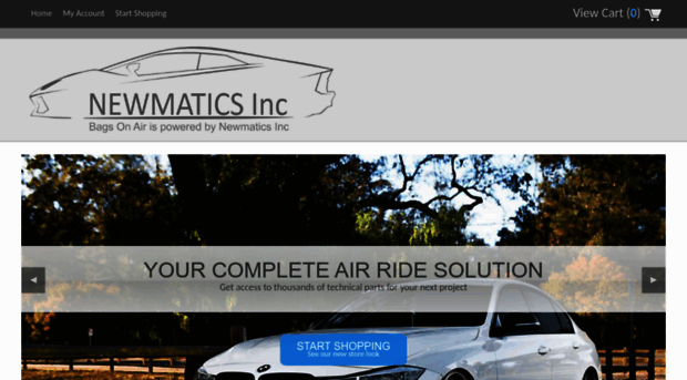 newmaticsinc.com