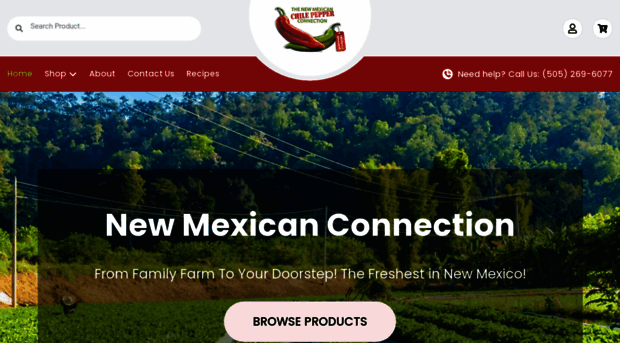 newmexicanconnection.com