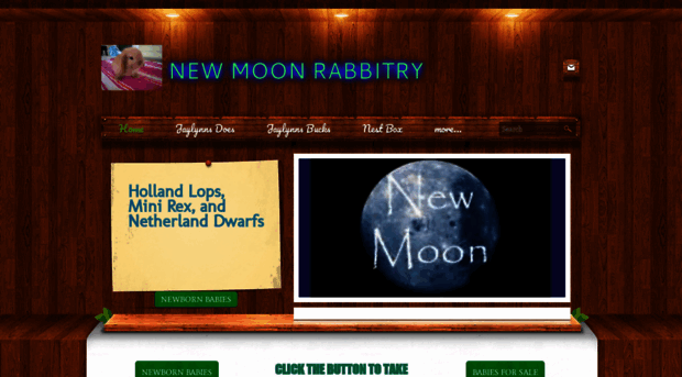 newmoonrabbitry.weebly.com