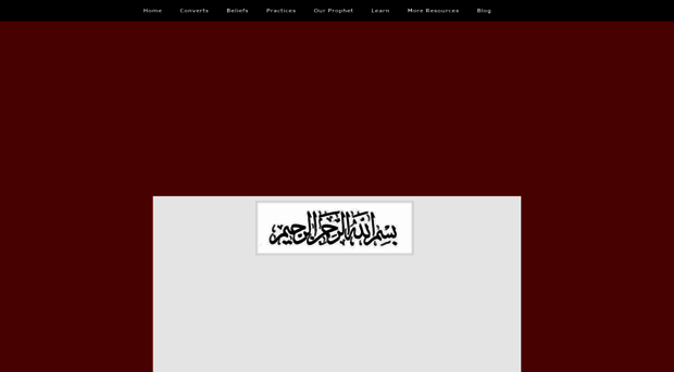 newmuslimessentials.com