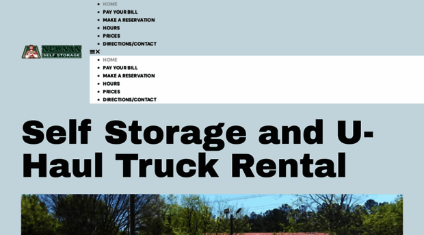 newnanselfstorage.com