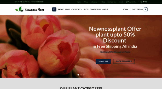 newnessplant.in
