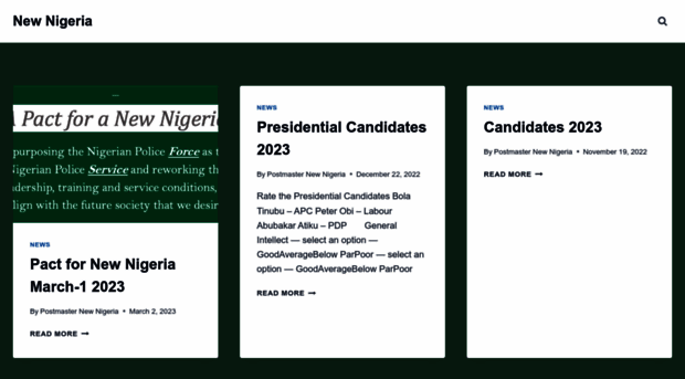 newnigeria.com