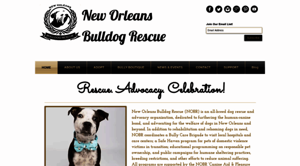 neworleansbulldogs.com