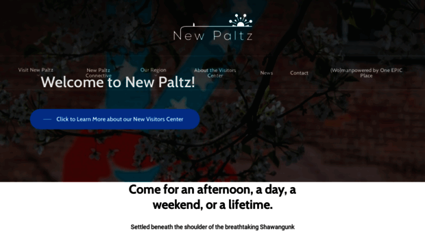 newpaltzchamber.org